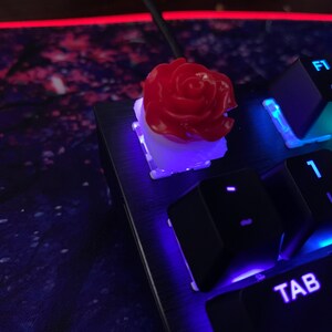 Erika ha aggiunto una foto del proprio acquisto
