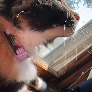 Belle heeft een foto van de aankoop toegevoegd
