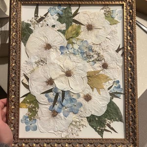 Larissa added a photo of their purchase