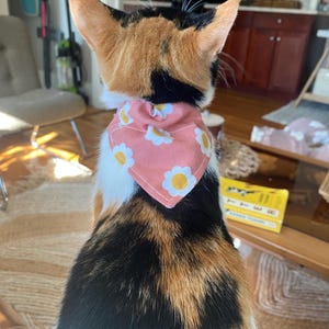 Elizabeth added a photo of their purchase