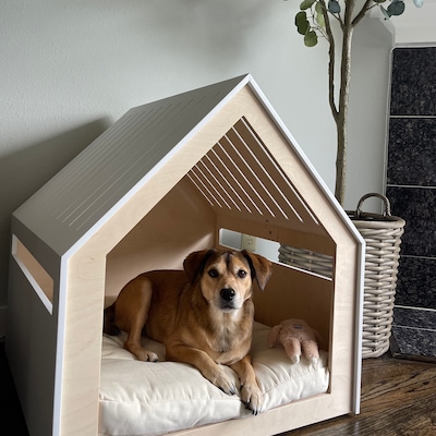 Image result for Modern Design Dog Crate With Acrylic Door Venlo. Dog House/dog - Etsy