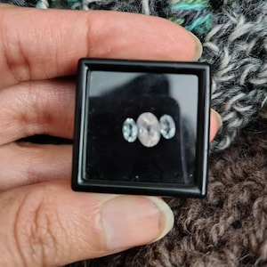 Nic added a photo of their purchase