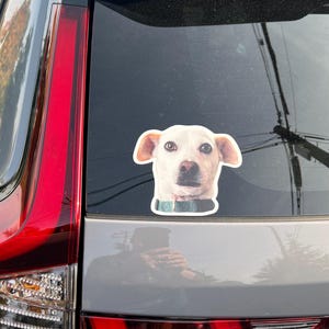 Marty added a photo of their purchase