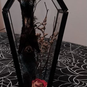 Kaly added a photo of their purchase