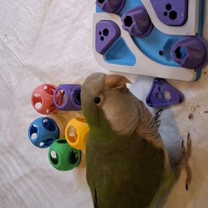 Sandra added a photo of their purchase