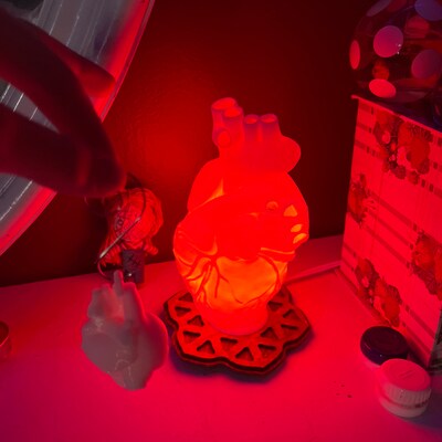 Human Heart 3D Printed Accent Lamp, Anatomical, Table Lamp, Novelty