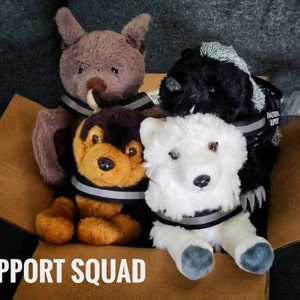 what is an emotional support stuffed animal dog for｜TikTok Search