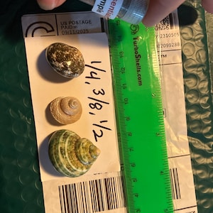 aroura added a photo of their purchase