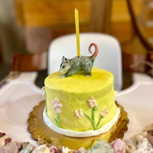 Abby heeft een foto van zijn/haar aankoop toegevoegd