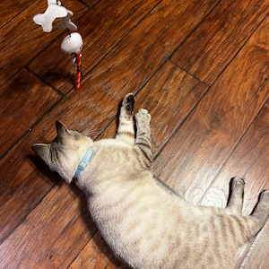 abby added a photo of their purchase