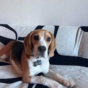 Bryce added a photo of their purchase