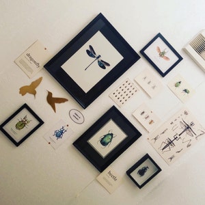 Amélie a ajouté une photo de son achat