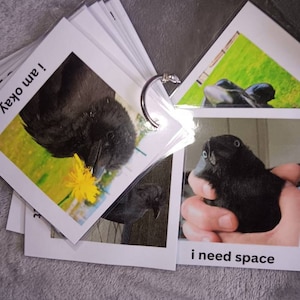 Asher added a photo of their purchase