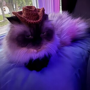 Emily ha añadido una foto de su compra
