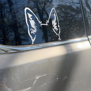 brittany added a photo of their purchase