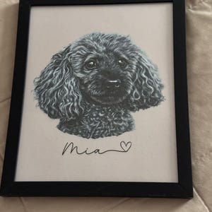 Karissa added a photo of their purchase