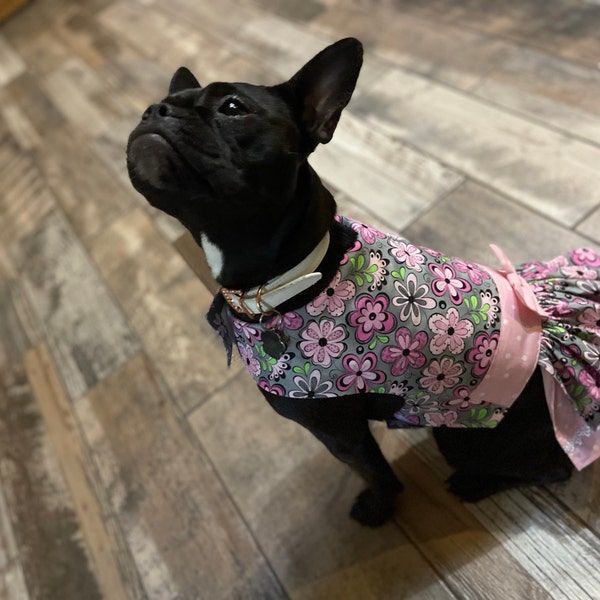 Spotty Dogs Adult Dress