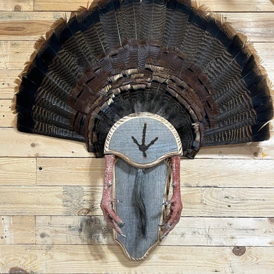 Barn Wood Single Turkey Fan/beard Plaque... Taxidermy - Etsy