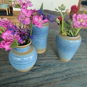 Pamela added a photo of their purchase