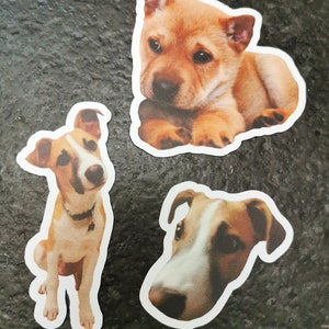 Jen added a photo of their purchase