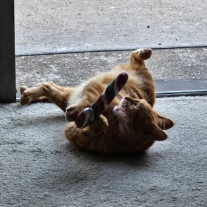 M adicionaram uma foto da sua compra