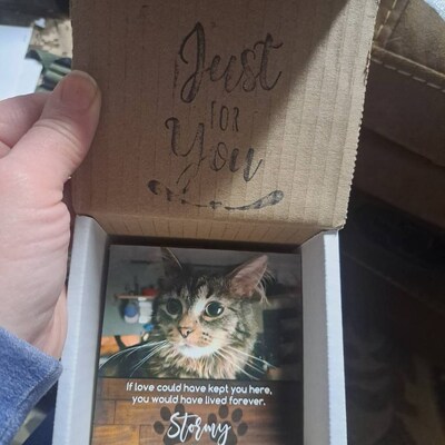 Personalized Memorial Cat Wooden Sign - Up to 3 Cats - Gift Idea For Cat Owner - I Miss You