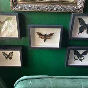 Ava added a photo of their purchase