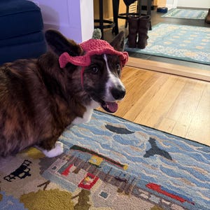 Amanda added a photo of their purchase