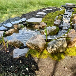 Dan heeft een foto van zijn/haar aankoop toegevoegd