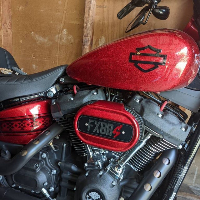 ハーレー 114 M8 エアクリーナー インサート - FXLRS カットアウト 