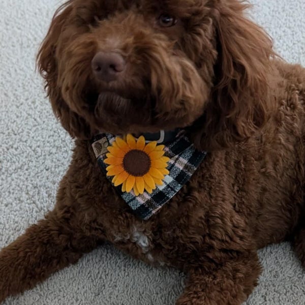 4er-Set Hundehalstücher Für Thanksgiving & Herbst - Baumwoll-Bandanas Für Mittelgroße & Große Hunde