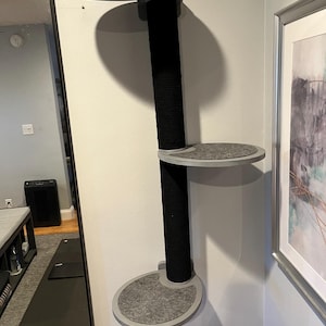 Joshua added a photo of their purchase