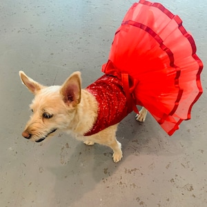Sasha added a photo of their purchase