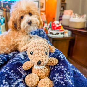 Colleen added a photo of their purchase