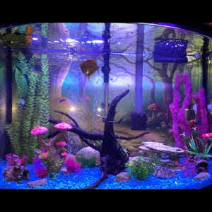 Galleggiante Per Acquario | Confronta prezzi