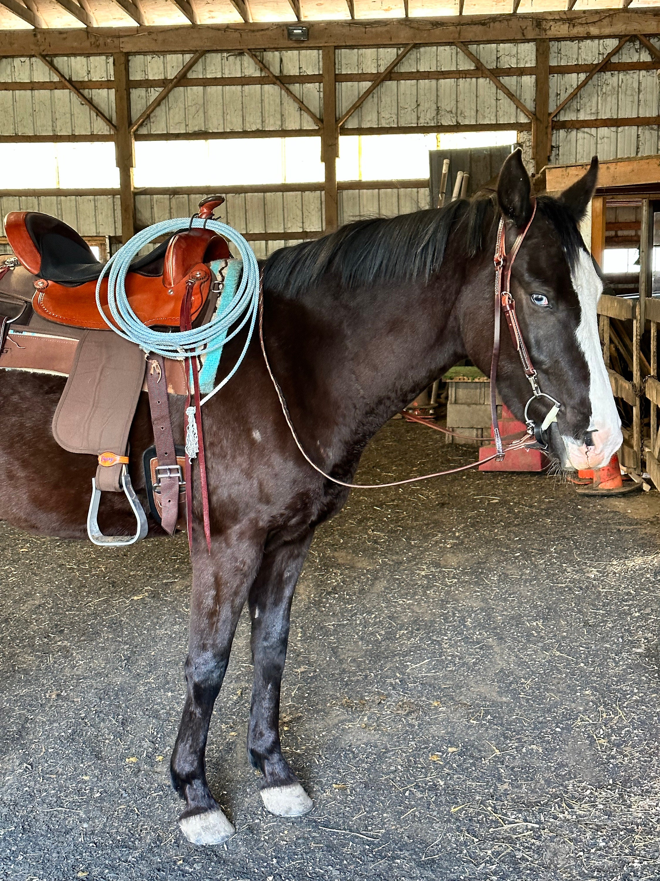 Bungee Rope/Lariat Holder/Keeper