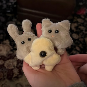 viv ha añadido una foto de su compra