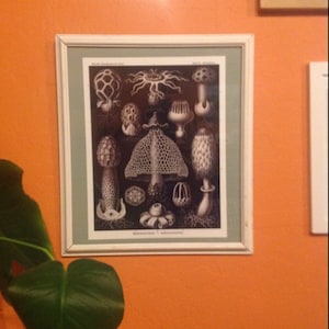 Karen added a photo of their purchase