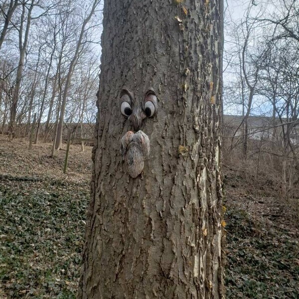 The ORIGINAL & GENUINE Mr. Grumpy Stump Tree Face Gift for Dad Fun ...