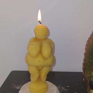 休止中アカウント さんが購入した商品の写真を追加しました