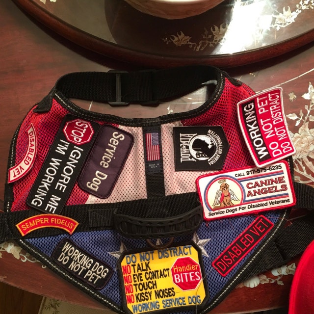 Service Dog Patch Etsy