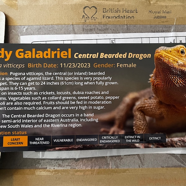 Reptile Enclosure Labels Bearded Dragon Information Sticker - Glossy ...