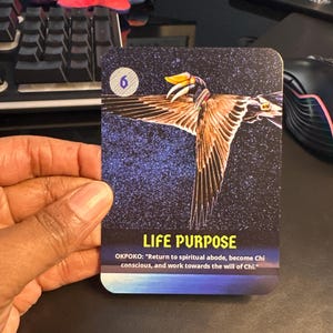 DeMarquine added a photo of their purchase