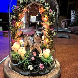 JILL さんが購入した商品の写真を追加しました