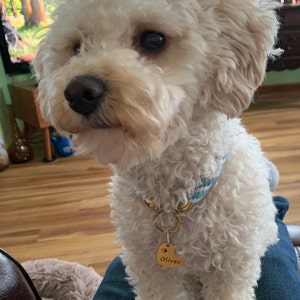 Dotti added a photo of their purchase