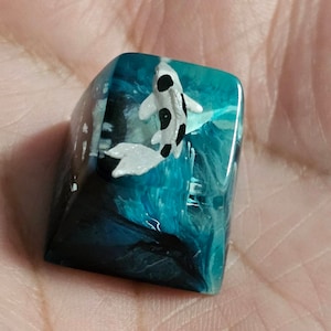 Strange added a photo of their purchase