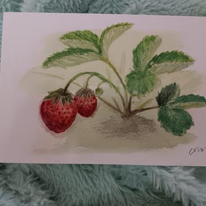Martha hat ein Foto des gekauften Artikels hinzugefügt