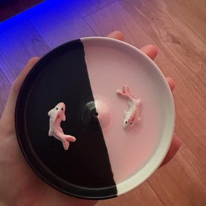Crimsen added a photo of their purchase