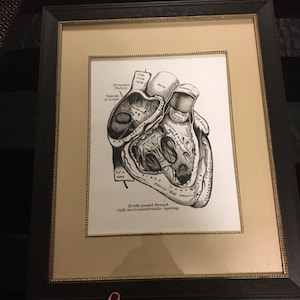 Laura added a photo of their purchase