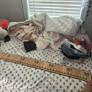 Lisa added a photo of their purchase